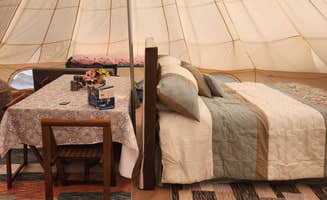 Pam R.'s photo at Bear Bottom Cabins and Glamping near Green Mountain Falls, CO