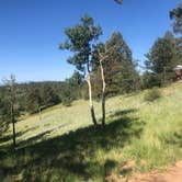 Review photo of Mueller State Park Campground by Jenni O., July 29, 2019