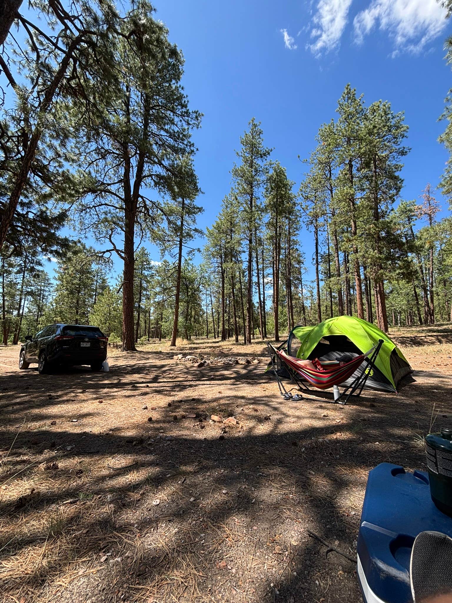Camper-submitted photo at FS 609 - Dispersed Camping near Payson, AZ