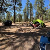 Review photo of FS 609 - Dispersed Camping by Nik T., July 7, 2025
