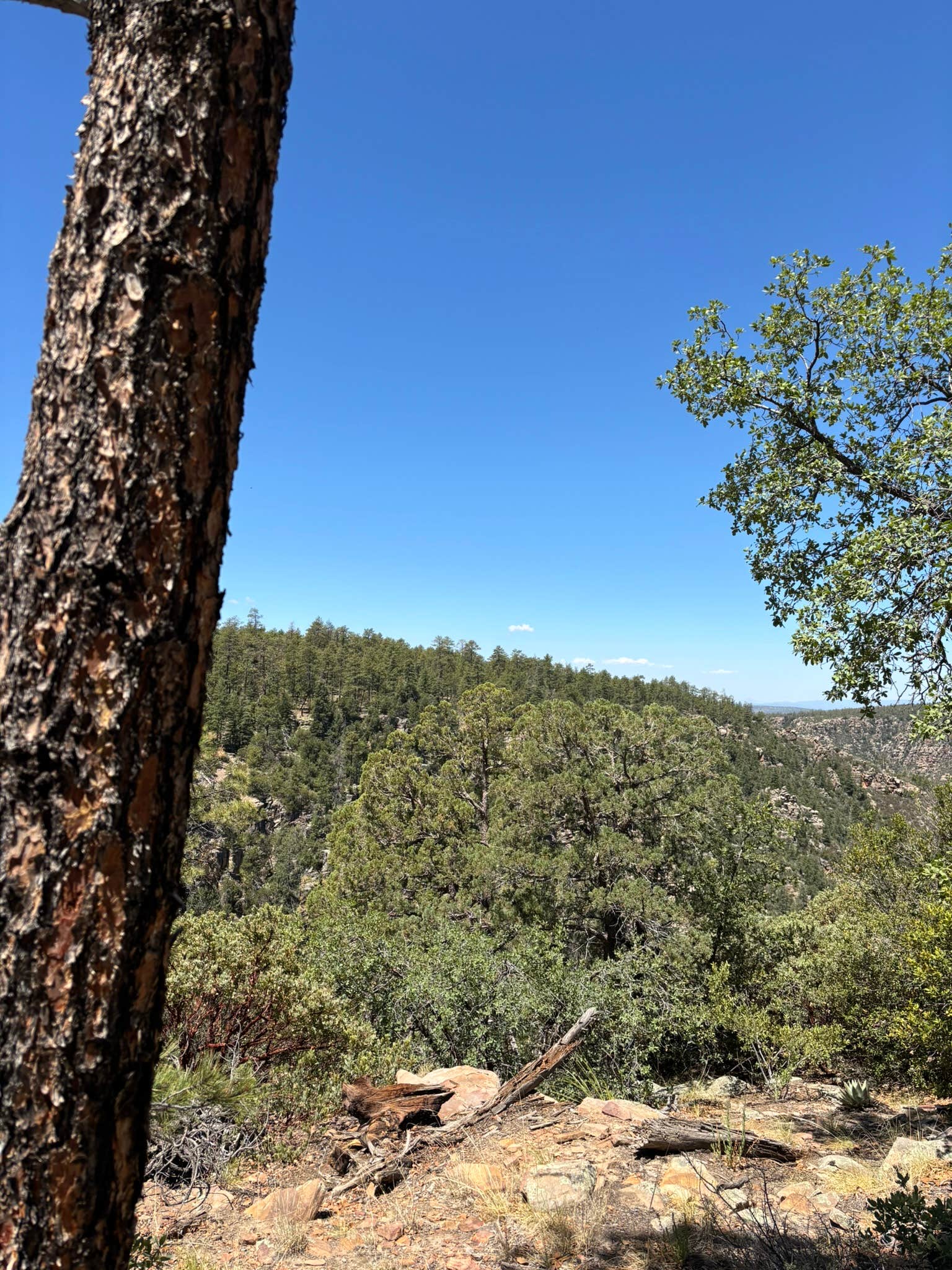 Camper-submitted photo at FS 609 - Dispersed Camping near Payson, AZ