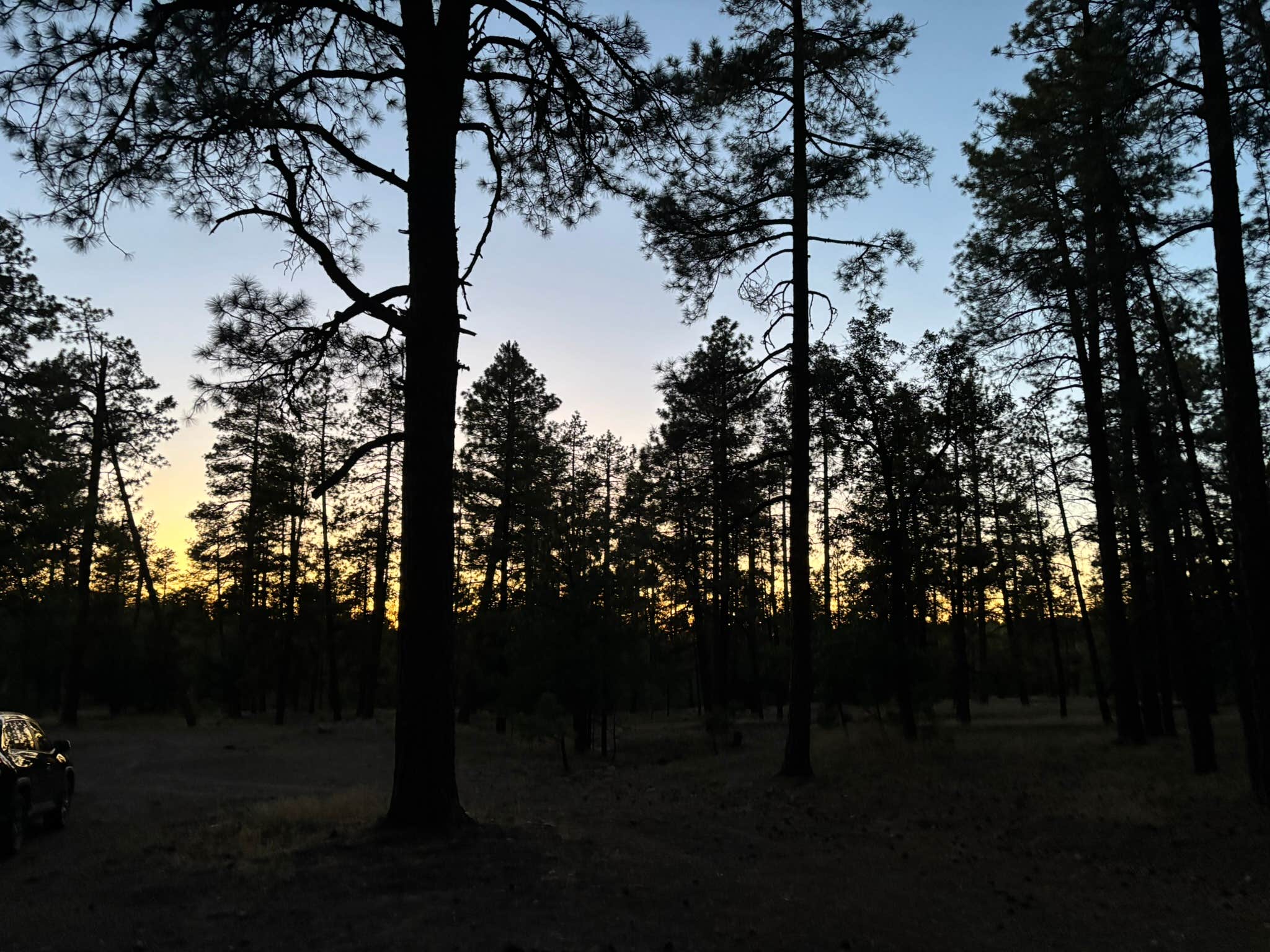 Camper-submitted photo at FS 609 - Dispersed Camping near Payson, AZ
