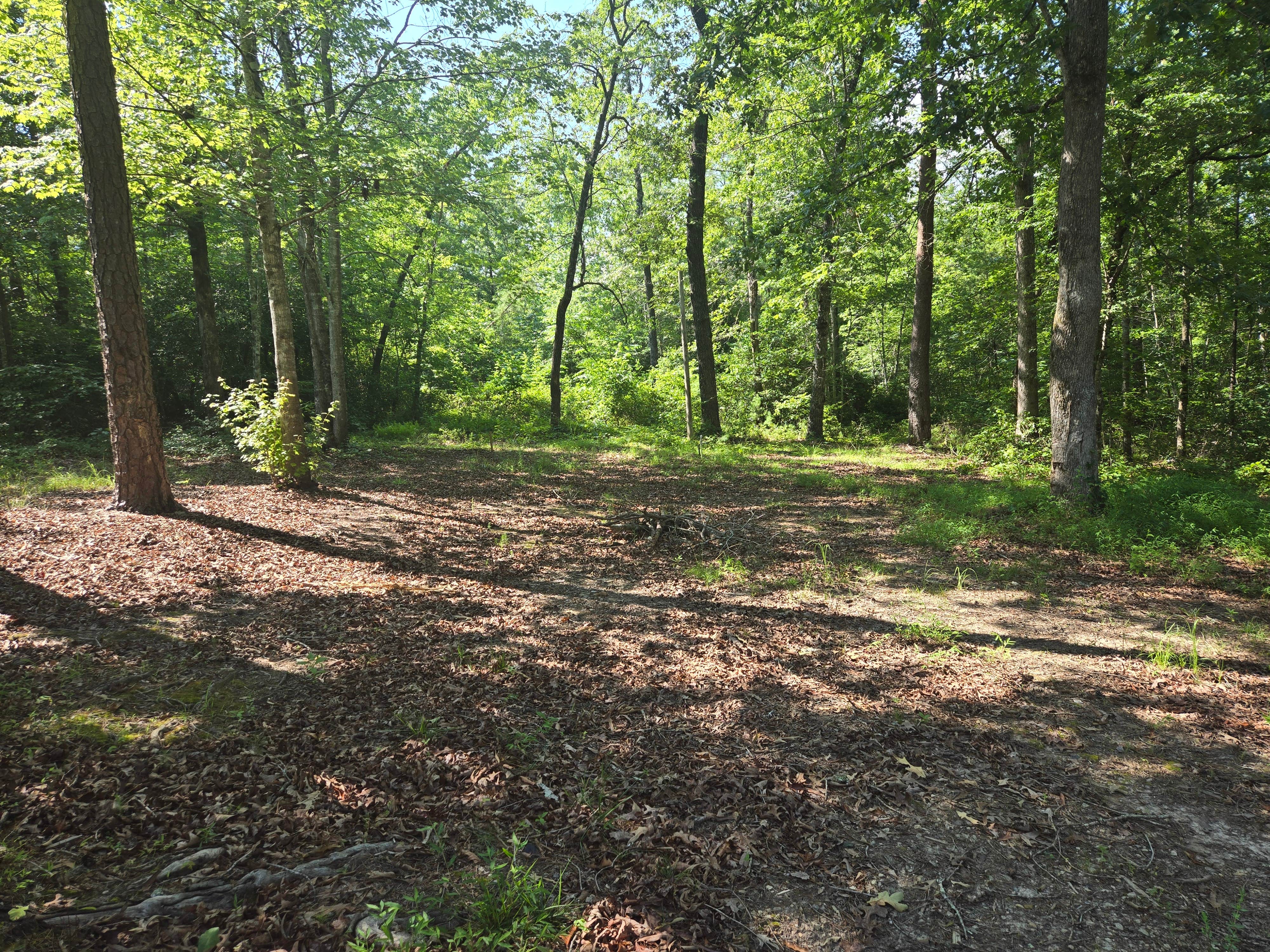 Camping near High Falls County Park: Front Forty Wild Camping with lake access, Tamassee, South Carolina