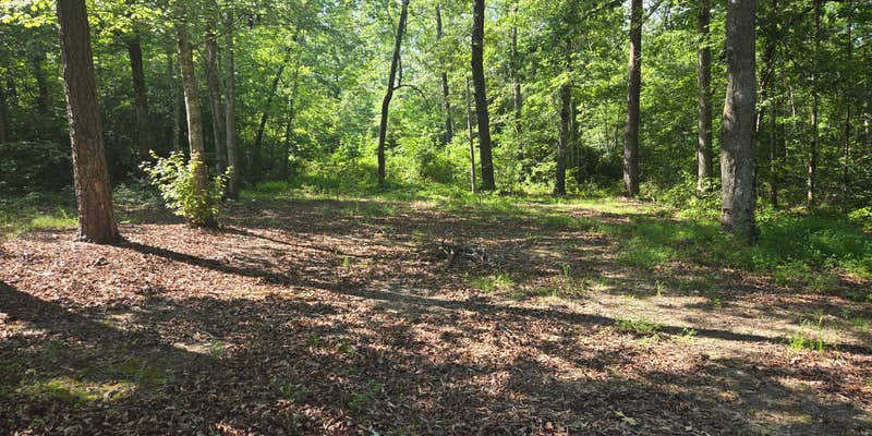 Camper submitted image from Front Forty Wild Camping with lake access
