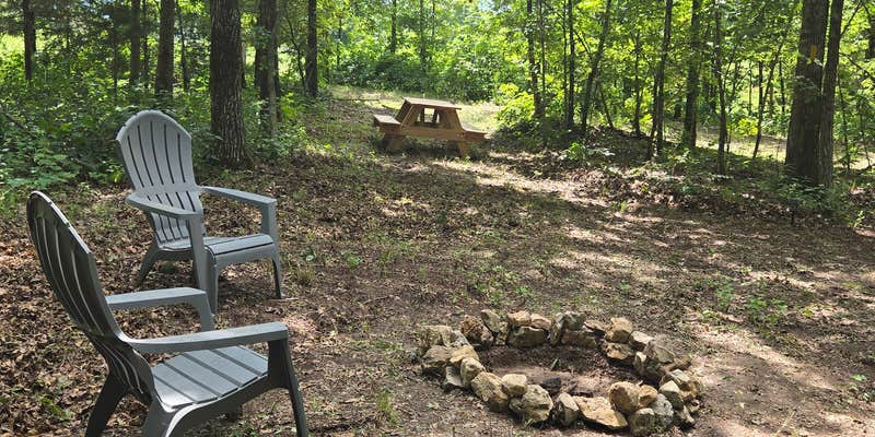 Camper submitted image from Where the forest meets the field