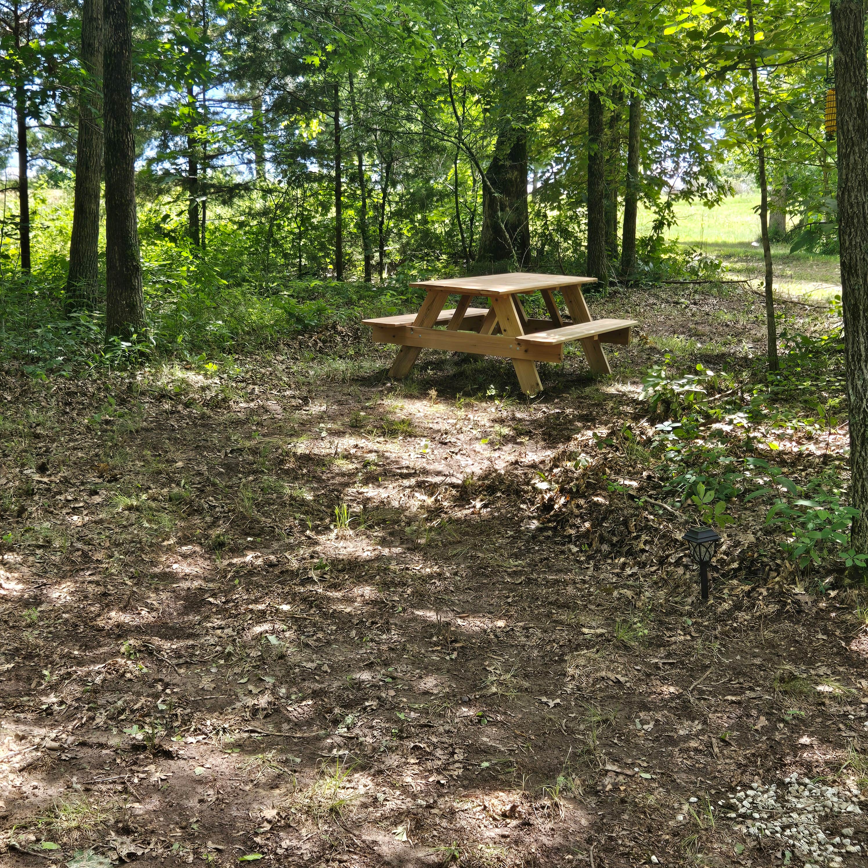 Camper submitted image from Where the forest meets the field - 2