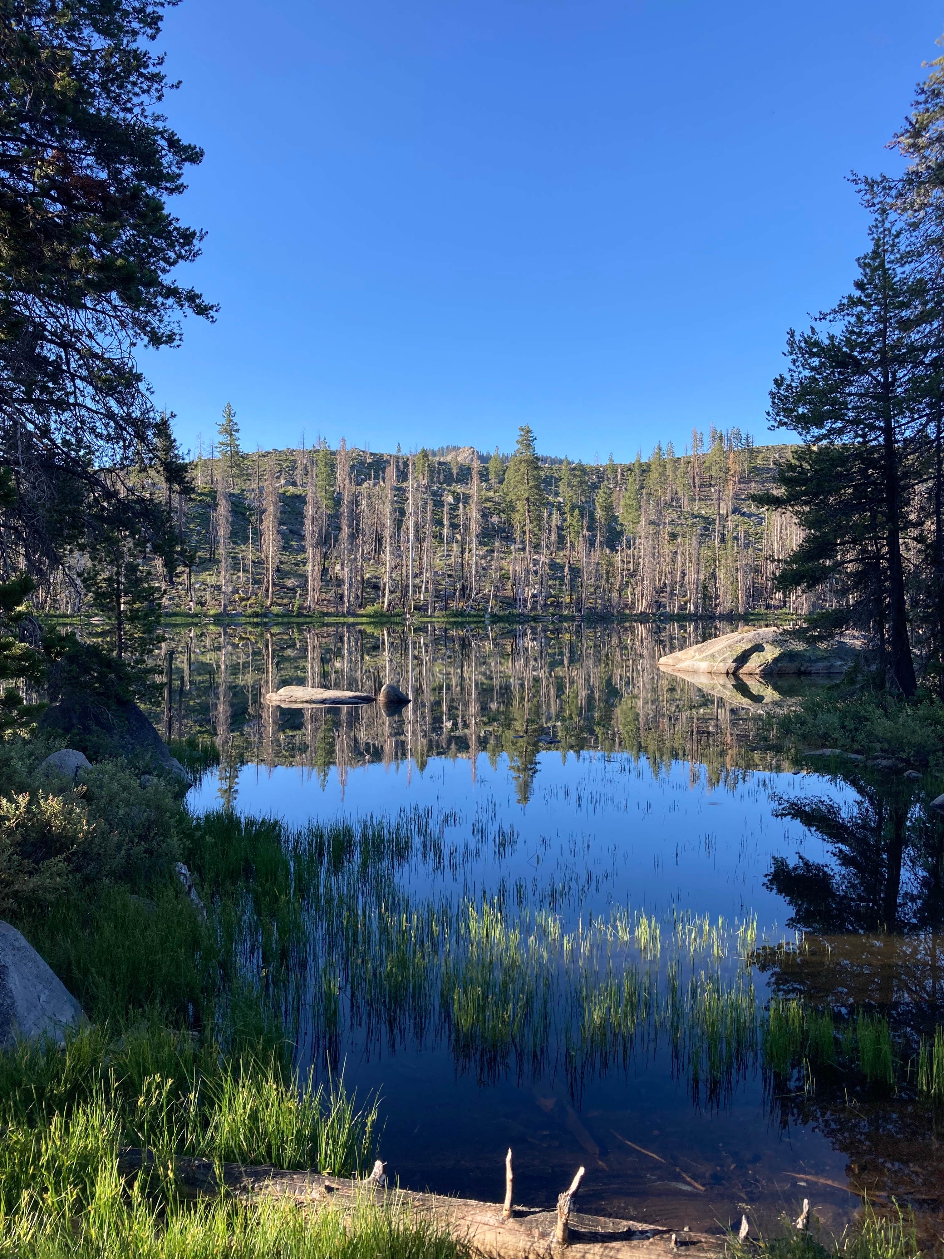 Camper-submitted photo at Silver Lake Campground (Plumas National Forest, Ca) — Plumas National Forest near Crescent Mills, CA