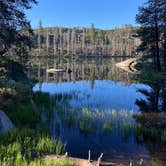 Review photo of Silver Lake Campground (Plumas National Forest, Ca) — Plumas National Forest by amy W., July 7, 2025