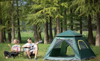 The Dyrt's photo at Momma Tried RV & Campground near Thomas, WV