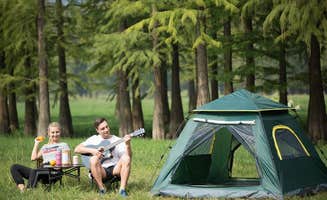 The Dyrt's photo at Momma Tried RV & Campground near Thomas, WV