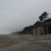 Review photo of Kalaloch Campground - group — Olympic National Park by Michael K., September 22, 2016