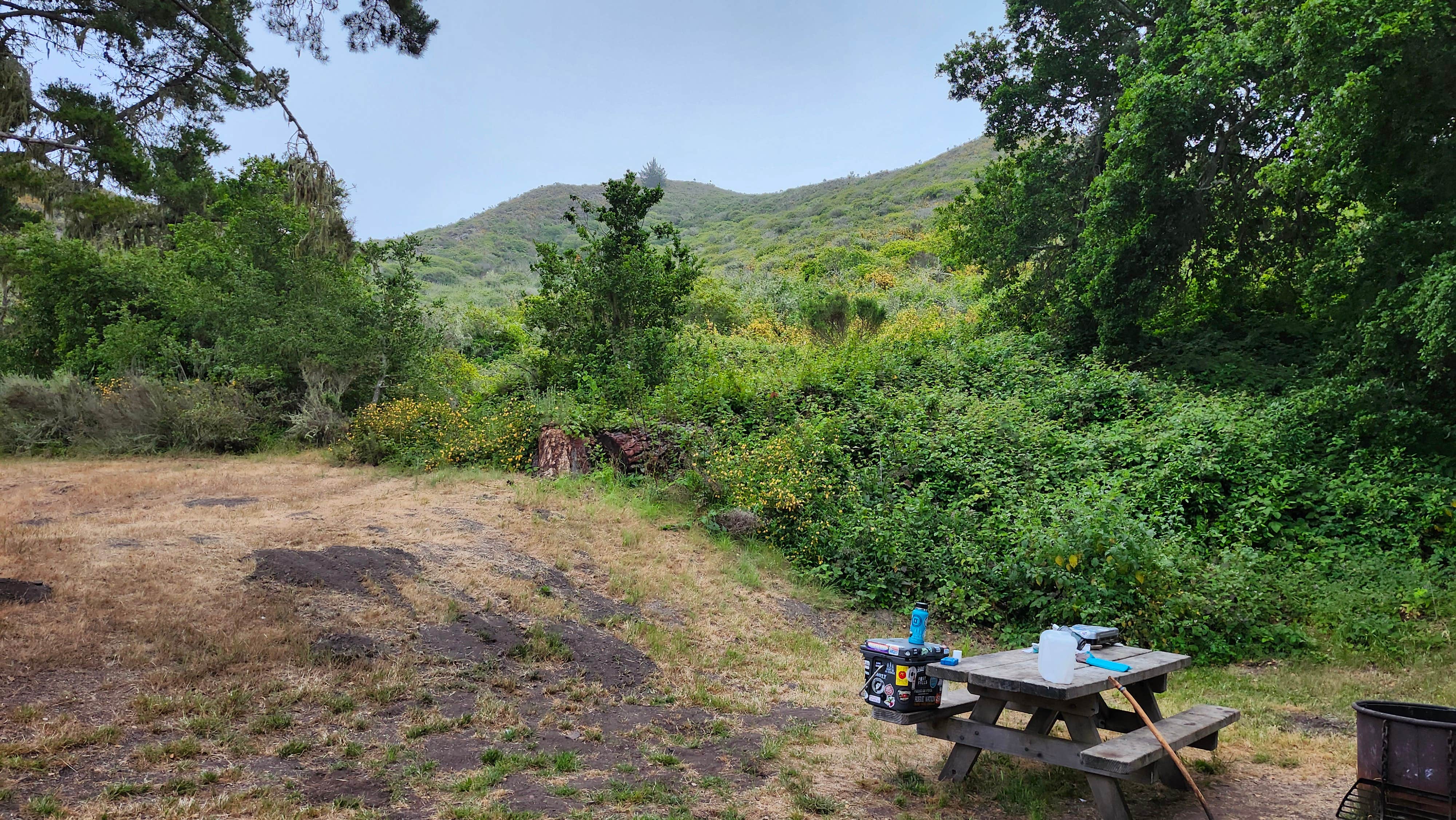 Ryan W.'s photo at Islay Creek Campground — Montaña de Oro State Park near Atascadero, CA