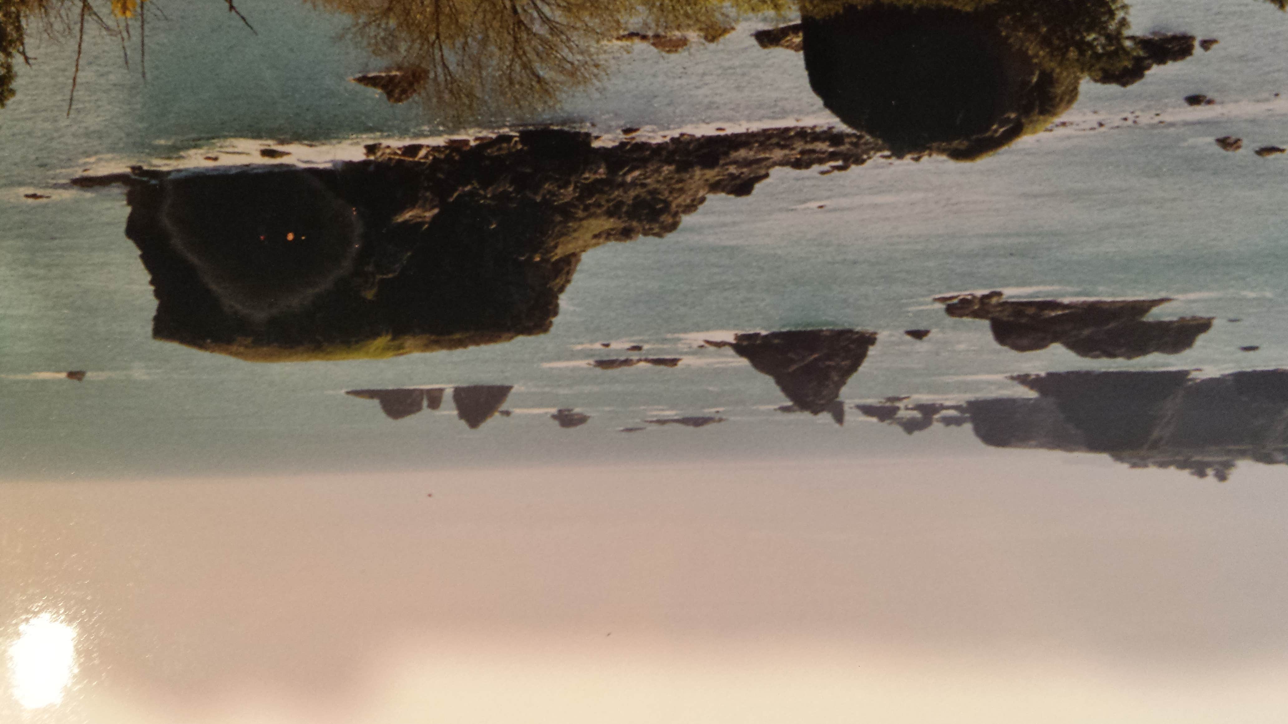 Harris Beach State Park Campground