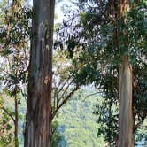 Review photo of Anthony Chabot Regional Park by Ryan W., July 8, 2025