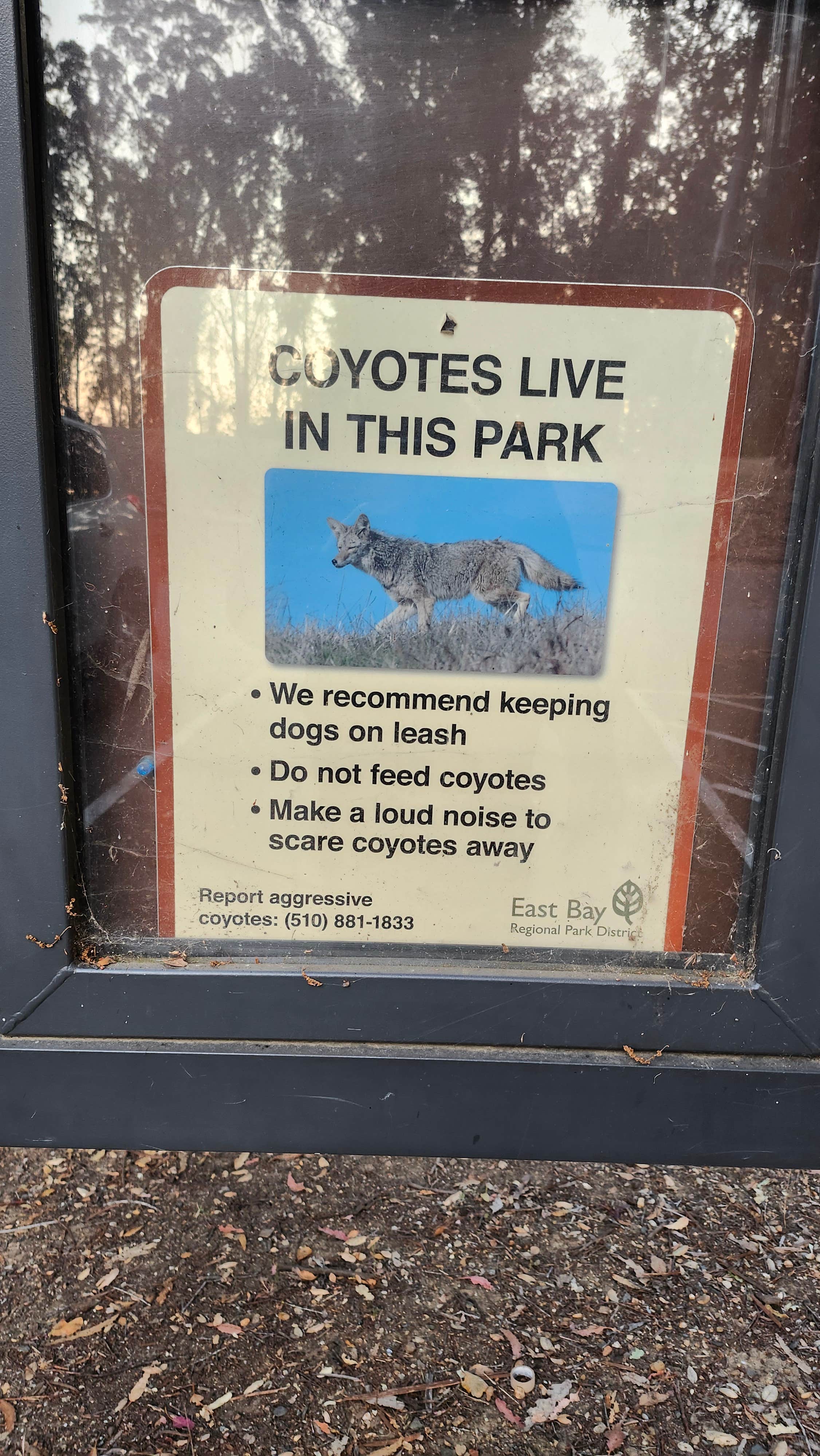 Ryan W.'s photo of camping with pets at Anthony Chabot Regional Park near Belmont, CA