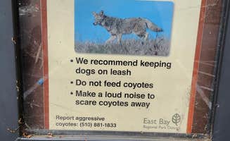 Ryan W.'s photo of camping with pets at Anthony Chabot Regional Park near Belmont, CA