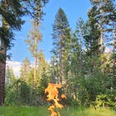 Review photo of Fallen Leaf Campground - South Lake Tahoe by Ryan W., July 8, 2025
