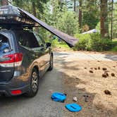 Review photo of Fallen Leaf Campground - South Lake Tahoe by Ryan W., July 8, 2025