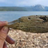 Review photo of Fallen Leaf Campground - South Lake Tahoe by Ryan W., July 8, 2025