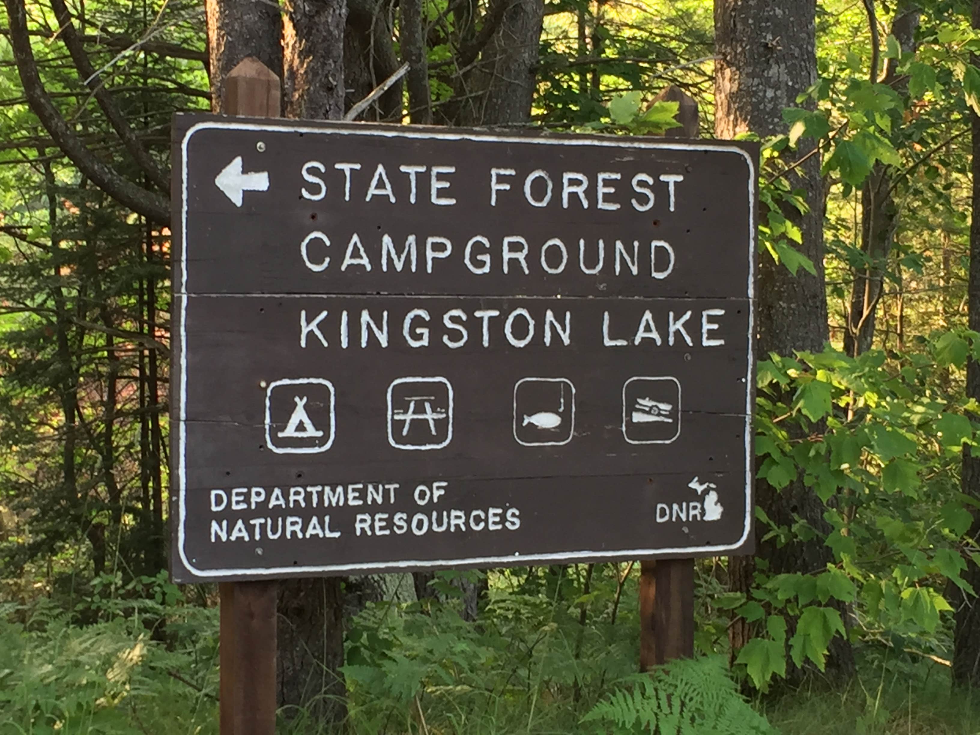Camper submitted image from Kingston Lake State Forest - 5