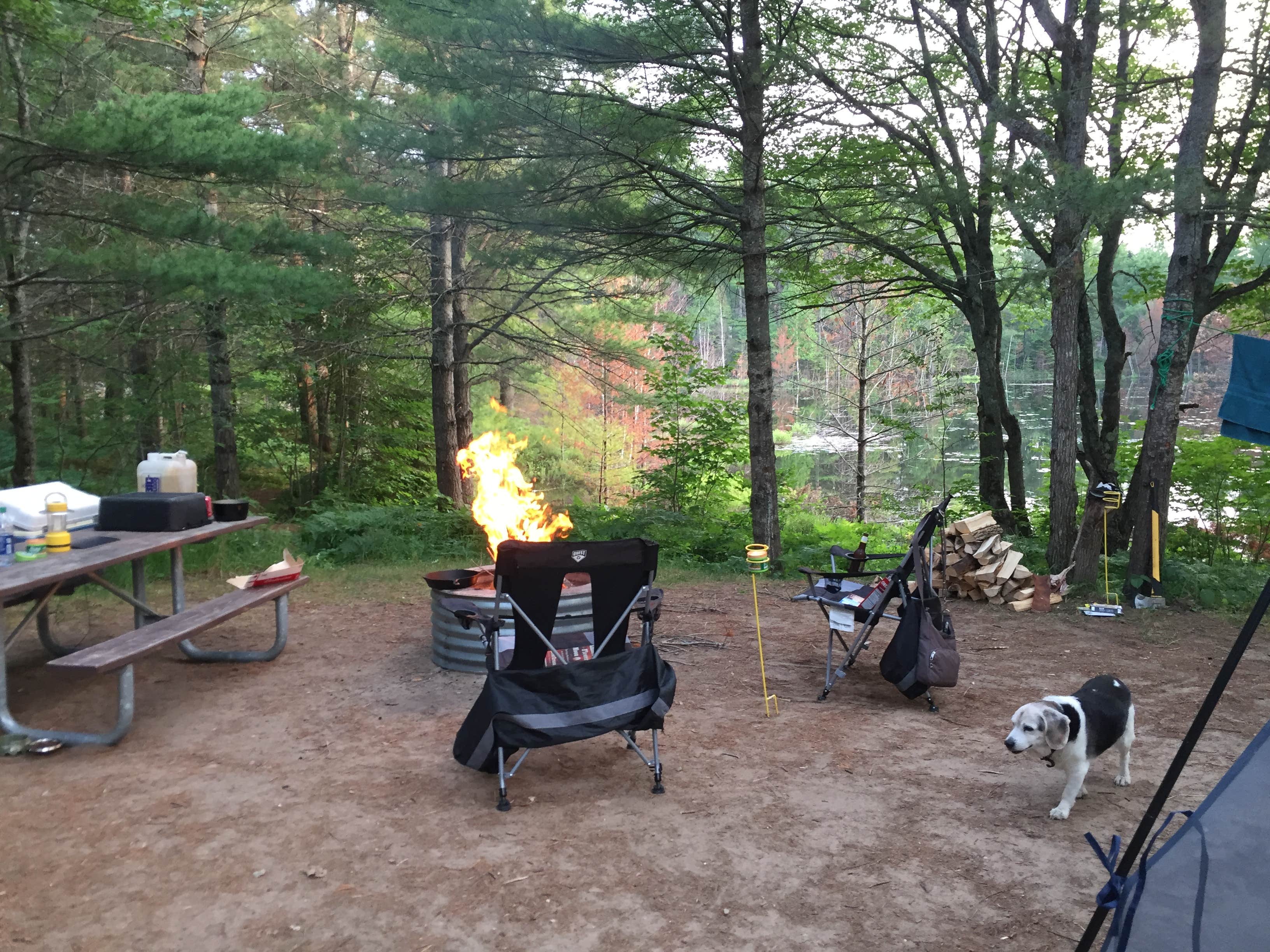 Amy K.'s photo of camping with pets at Kingston Lake State Forest near Pictured Rocks National Park