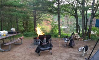Amy K.'s photo of camping with pets at Kingston Lake State Forest near Grand Marais, MI