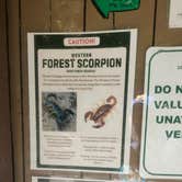 Review photo of Wyeth Campground at the Gorge by Ryan W., July 8, 2025