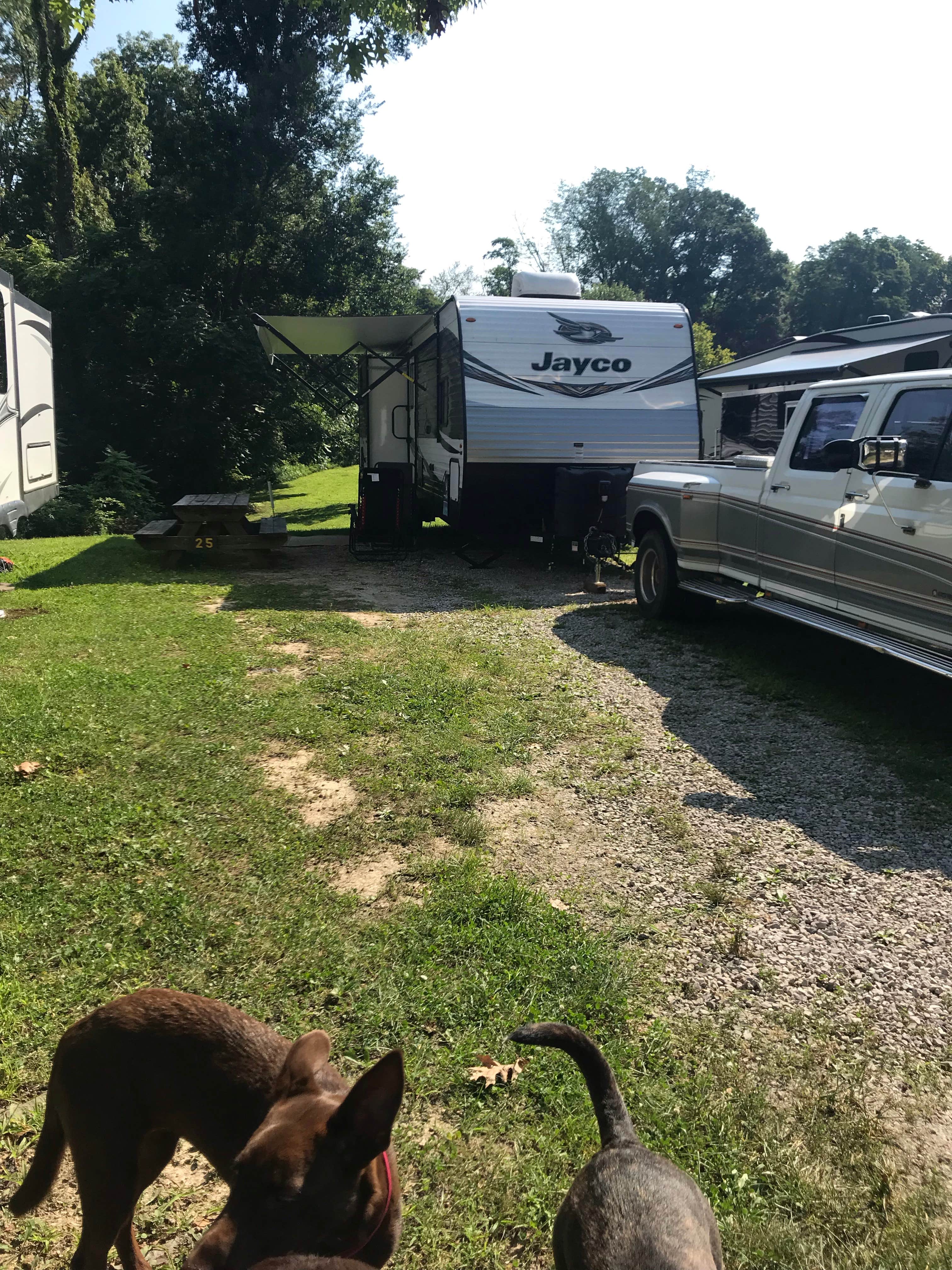 David R.'s photo of camping with pets at Scales Lake Park near Evansville, IN