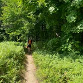 Review photo of Manistee River Trail Dispersed Camping by Colin E., July 8, 2025