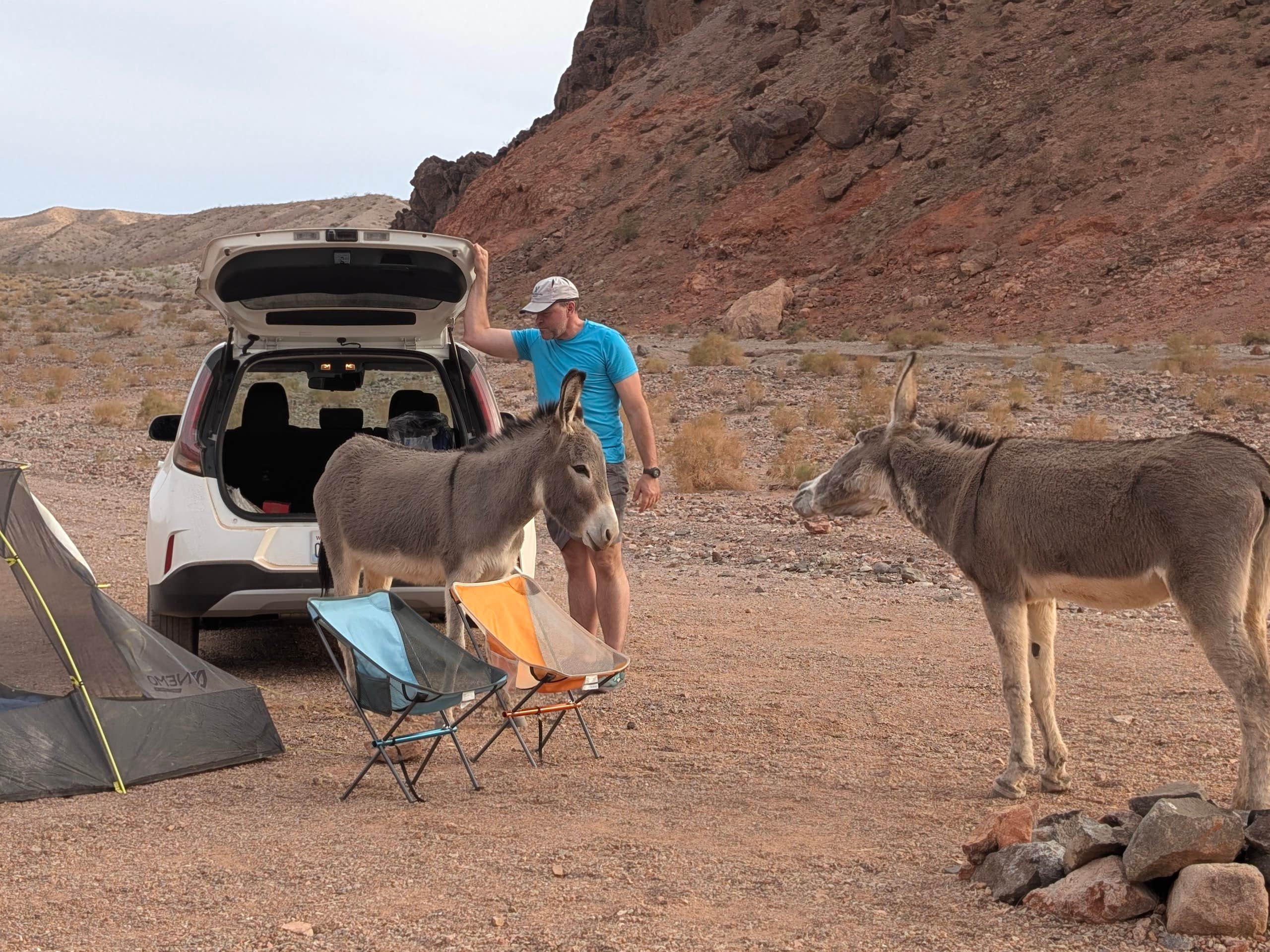 Amy G.'s photo at Kingman Wash — Lake Mead National Recreation Area near Willow Beach, AZ