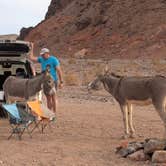 Review photo of Kingman Wash — Lake Mead National Recreation Area by Amy G., July 8, 2025