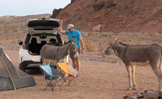 Amy G.'s photo at Kingman Wash — Lake Mead National Recreation Area near Willow Beach, AZ