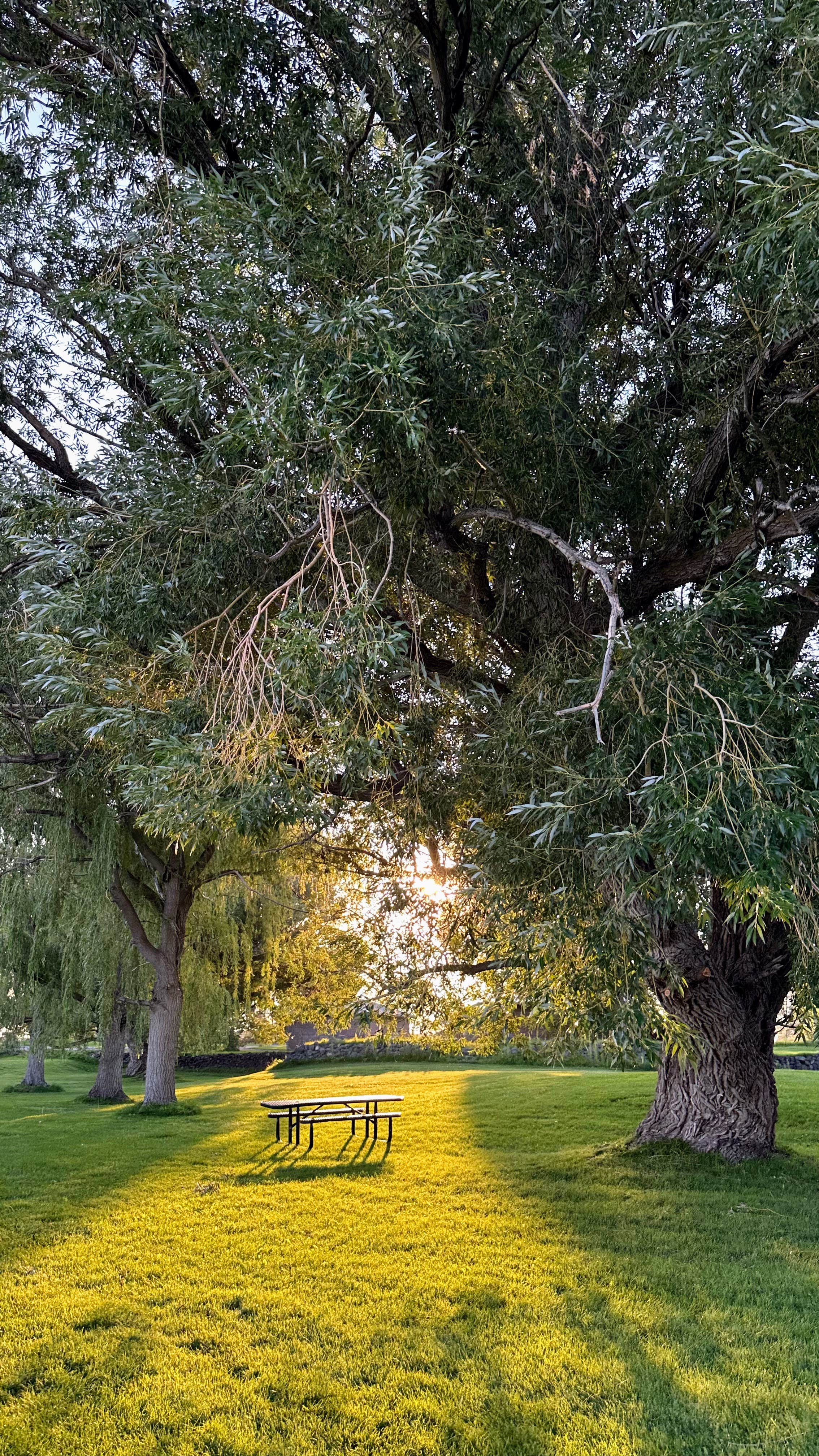 Camper-submitted photo at Lake Walcott State Park Campground near Rockland, ID