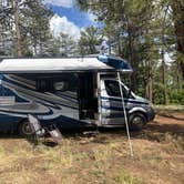 Review photo of Forest Road 535 by Michael F., July 9, 2025