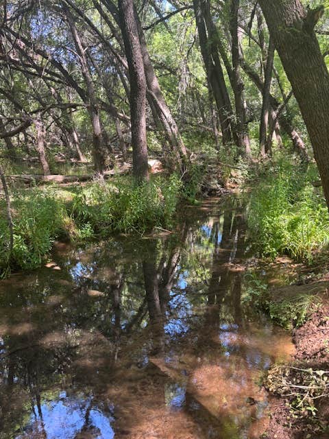 Camper-submitted photo at FR131 Dispersed Camping near Jerome, AZ