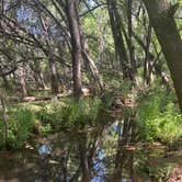 Review photo of FR131 Dispersed Camping by Michael F., July 9, 2025