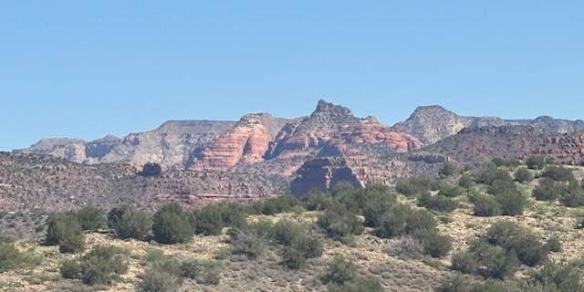 Camper submitted image from FR131 Dispersed Camping