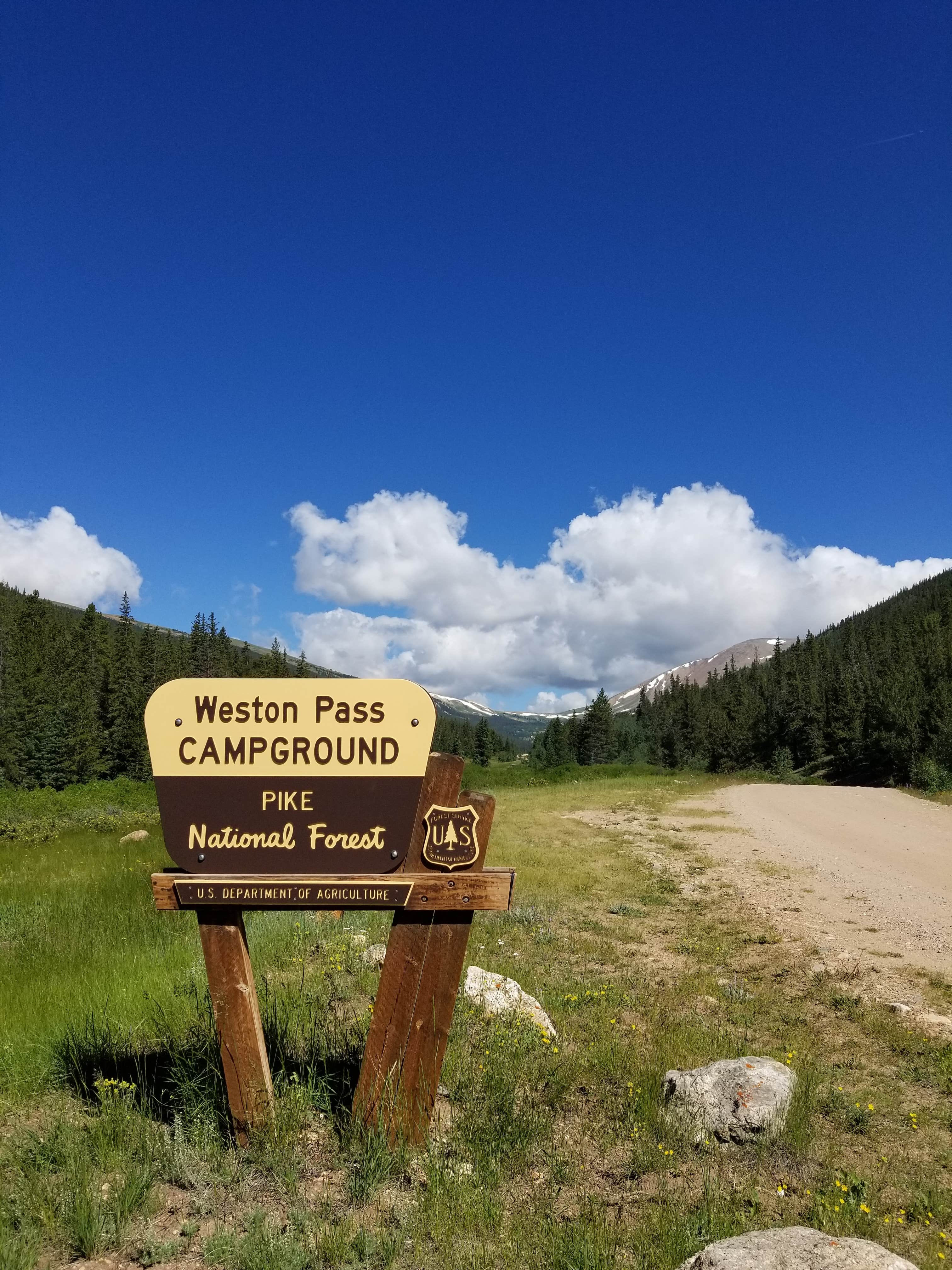 Camper submitted image from Weston Pass Campground - 5