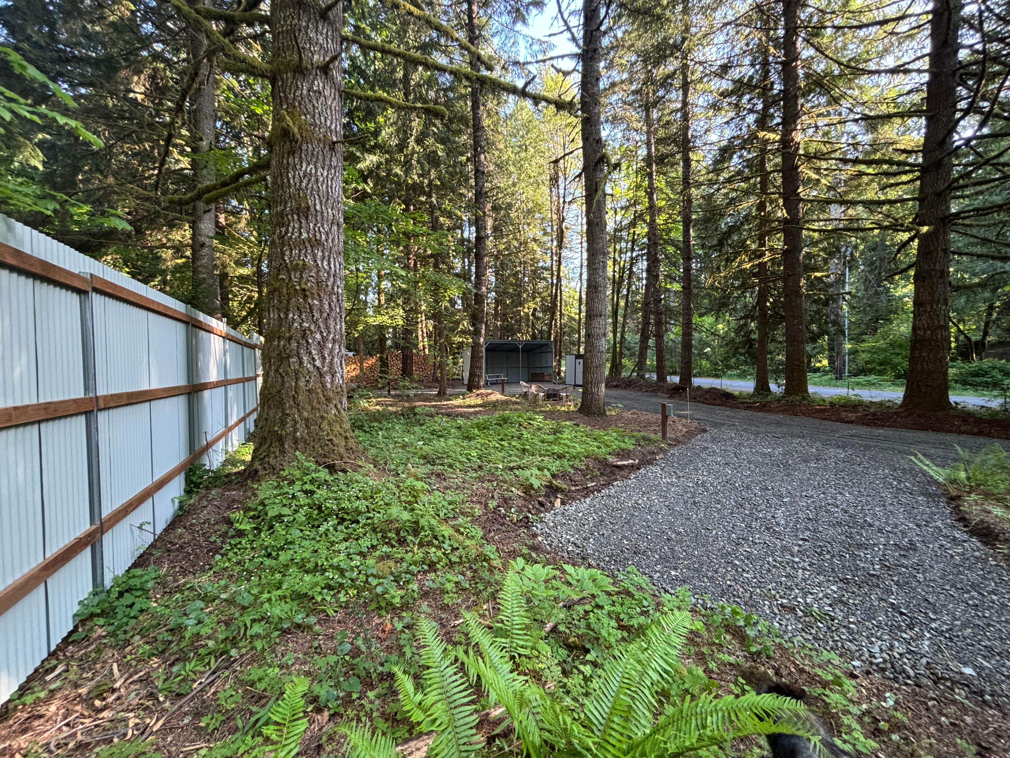 Camper submitted image from Mt Hood Vantopia Basecamp - 1