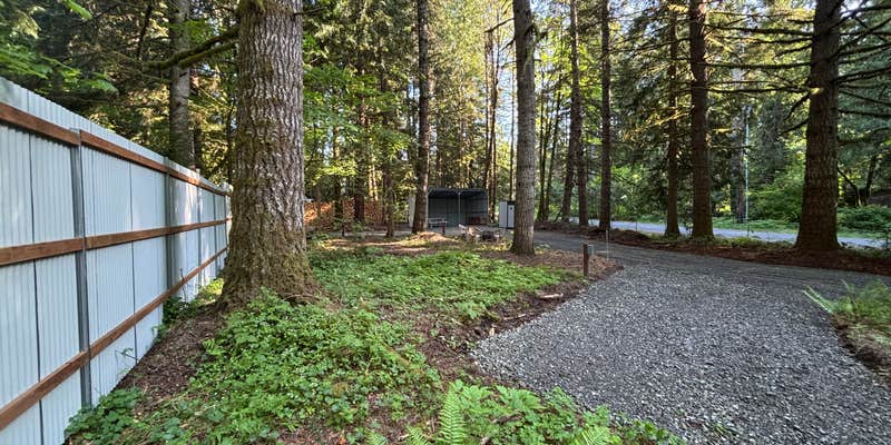 Camper submitted image from Mt Hood Vantopia Basecamp