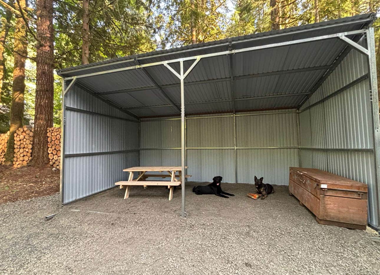 Max M.'s photo of camping with pets at Mt Hood Vantopia Basecamp near Sandy, OR