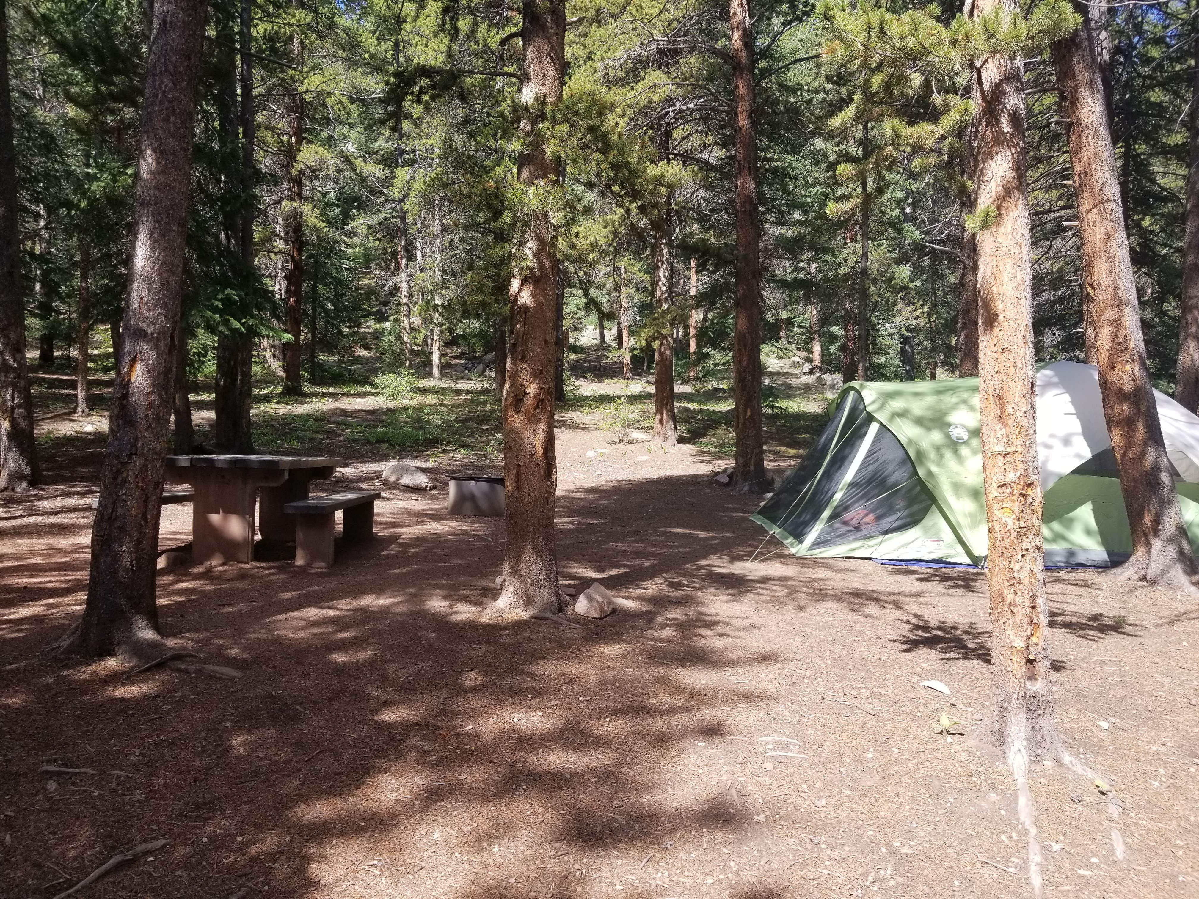 Camper submitted image from Weston Pass Campground - 4