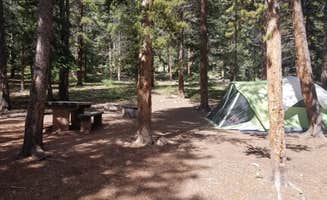 Glenna L.'s photo at Weston Pass Campground near Fairplay, CO