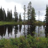Review photo of Cougar Rock Campground — Mount Rainier National Park by Michael K., September 22, 2016