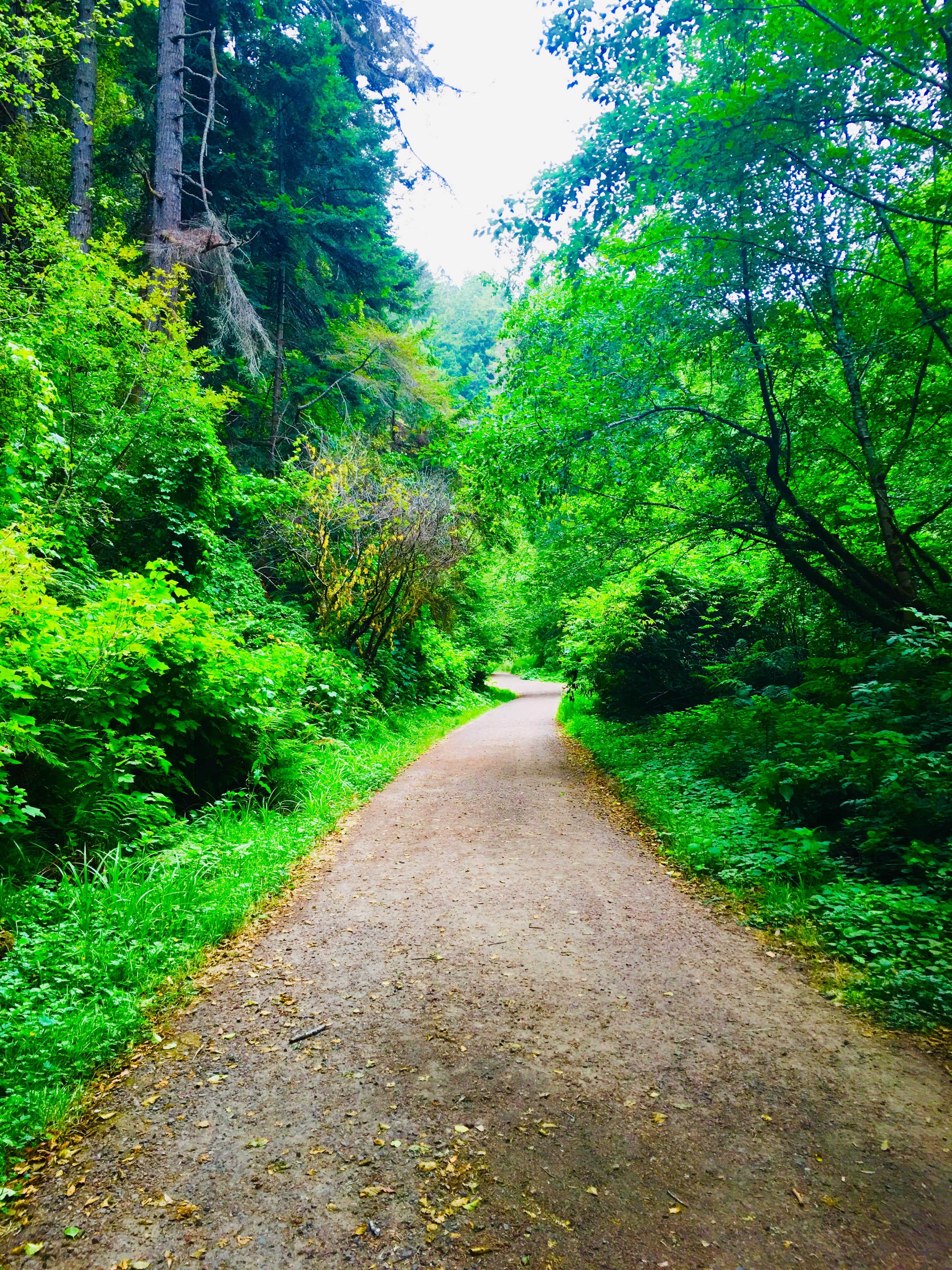 Camper-submitted photo at Russian Gulch State Park Campground near Mendocino Lake