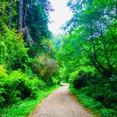 Review photo of Russian Gulch State Park Campground by Tim , July 30, 2019