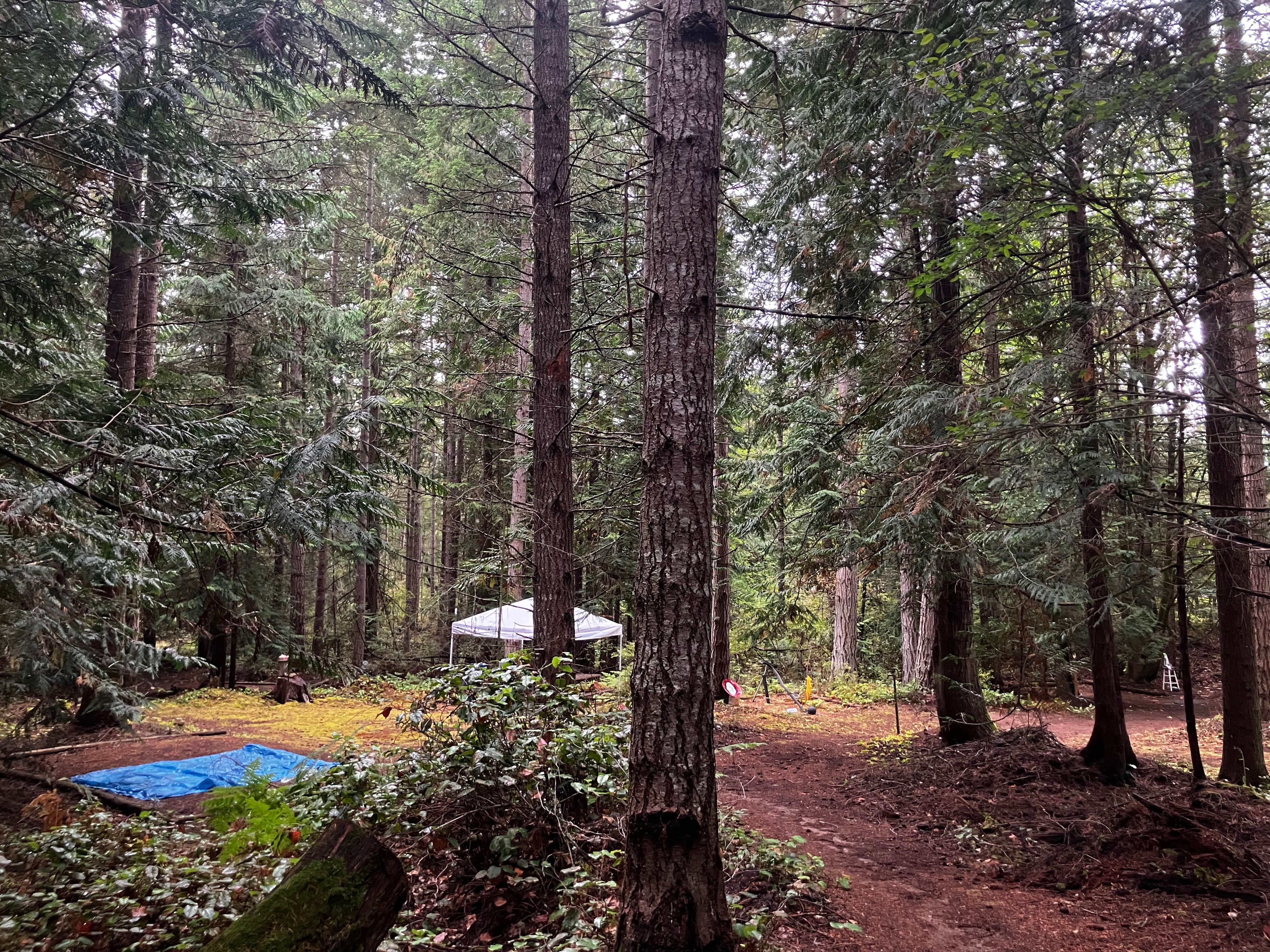 Will & Asha J.'s photo of tent camping at 7 Acres Of Heaven near Port Ludlow, WA