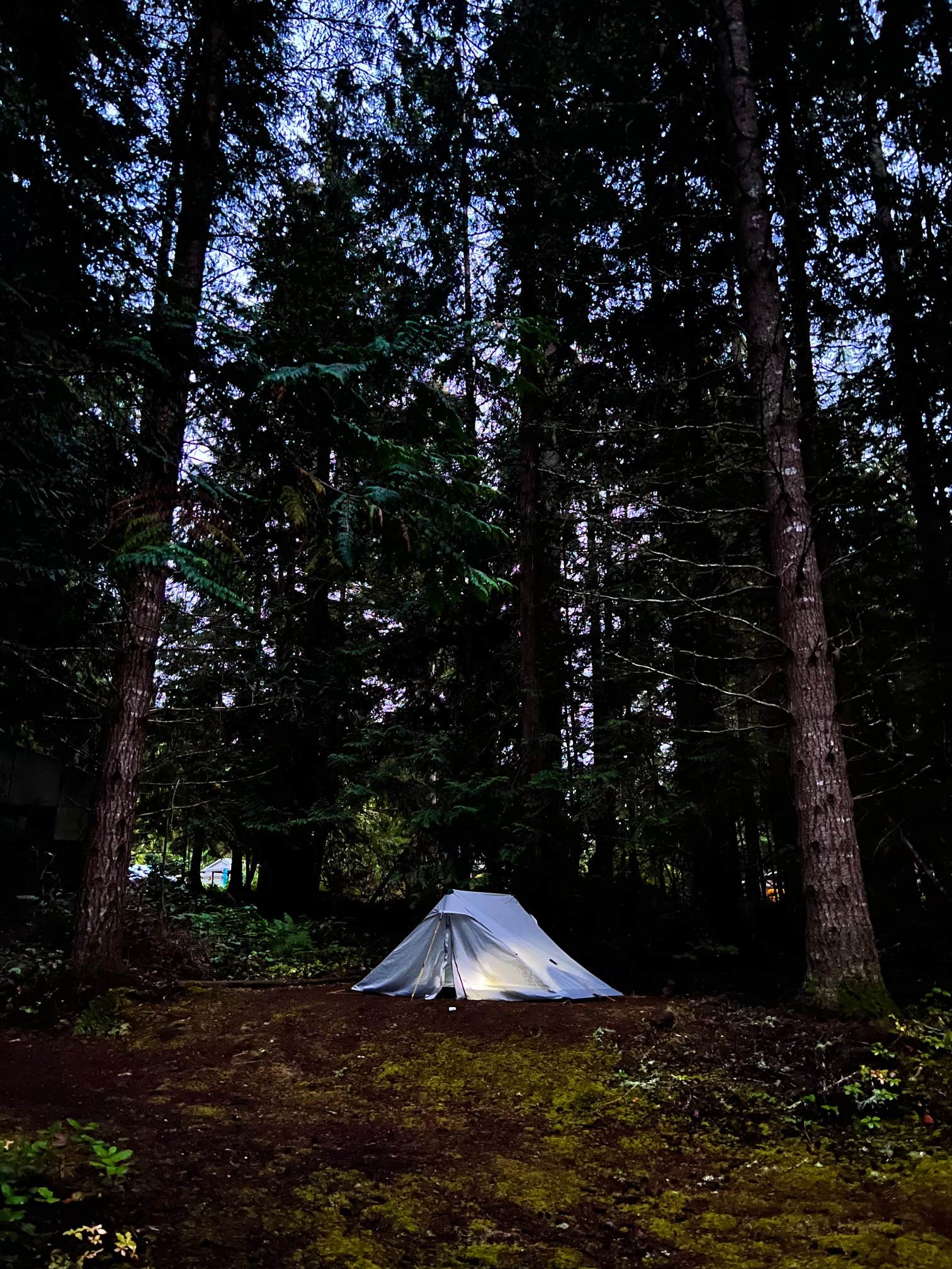 Will & Asha J.'s photo at 7 Acres Of Heaven near Port Angeles, WA
