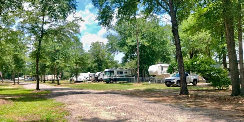 Camper submitted image from Paw Paw's RV Park