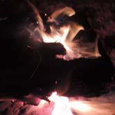 Review photo of Cougar Rock Campground — Mount Rainier National Park by Michael K., September 22, 2016